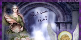 PERSONNE NE SE PERD !